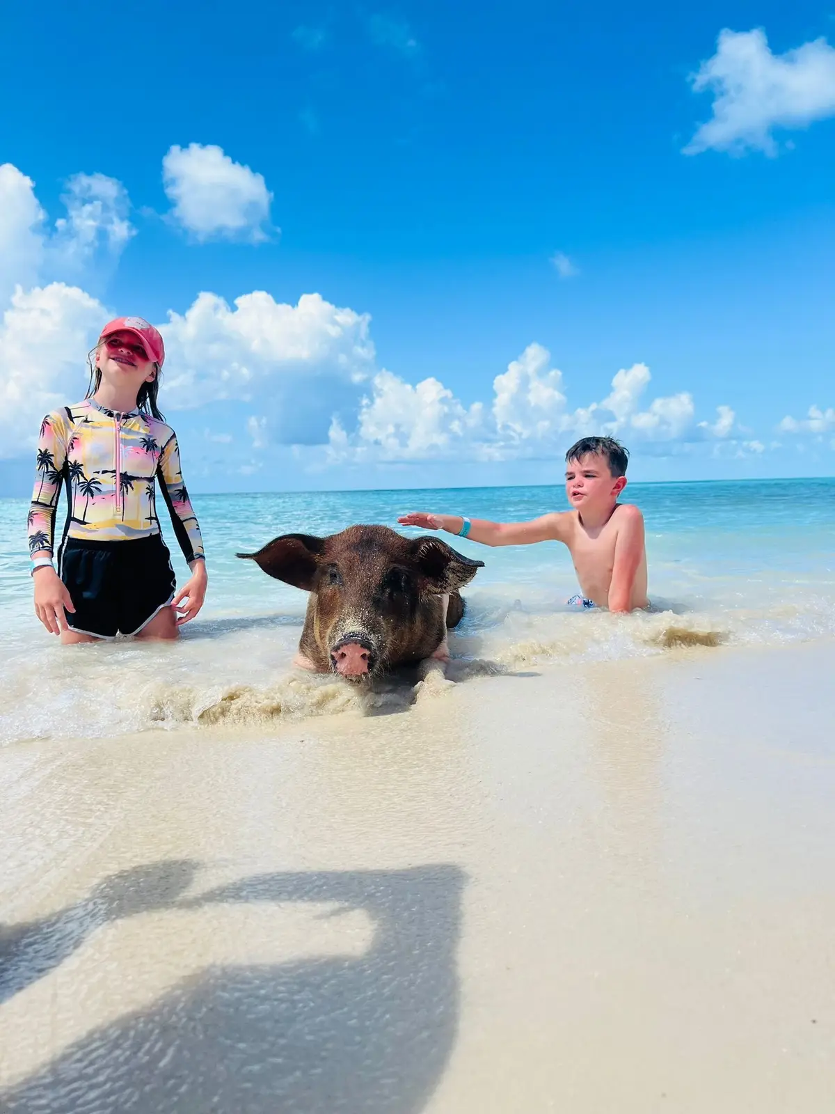 Island Escapes Bahamas guests, swimming pigs, and Nassau adventures