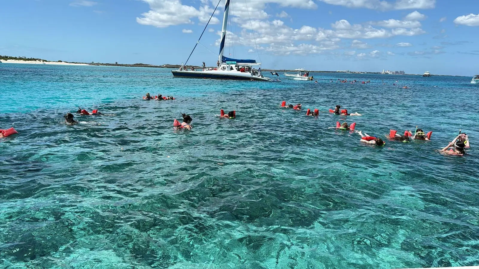 Island Escapes Bahamas guests, swimming pigs, and Nassau adventures