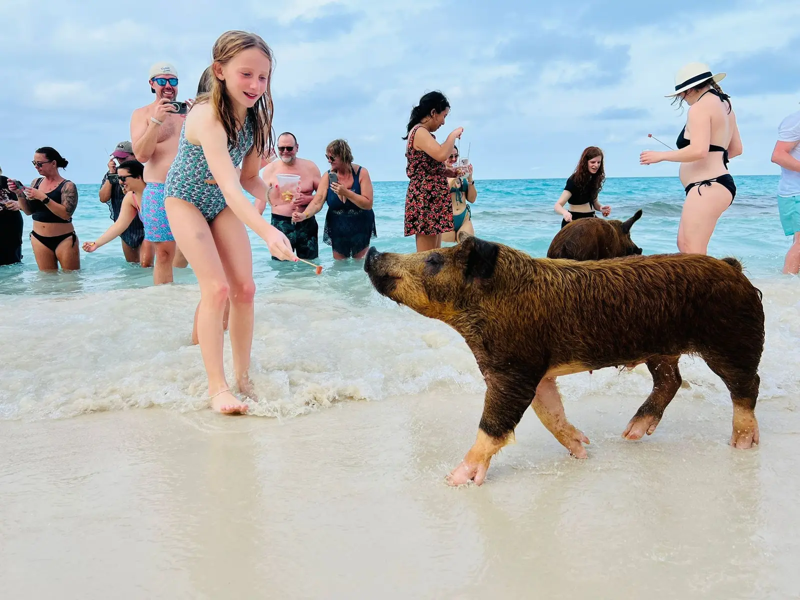 Island Escapes Bahamas guests, swimming pigs, and Nassau adventures