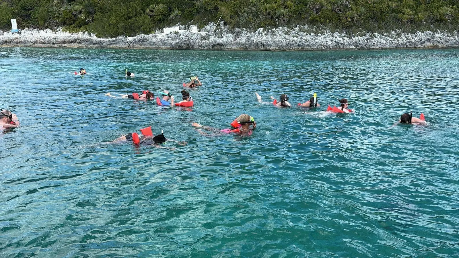 Island Escapes Bahamas guests, swimming pigs, and Nassau adventures