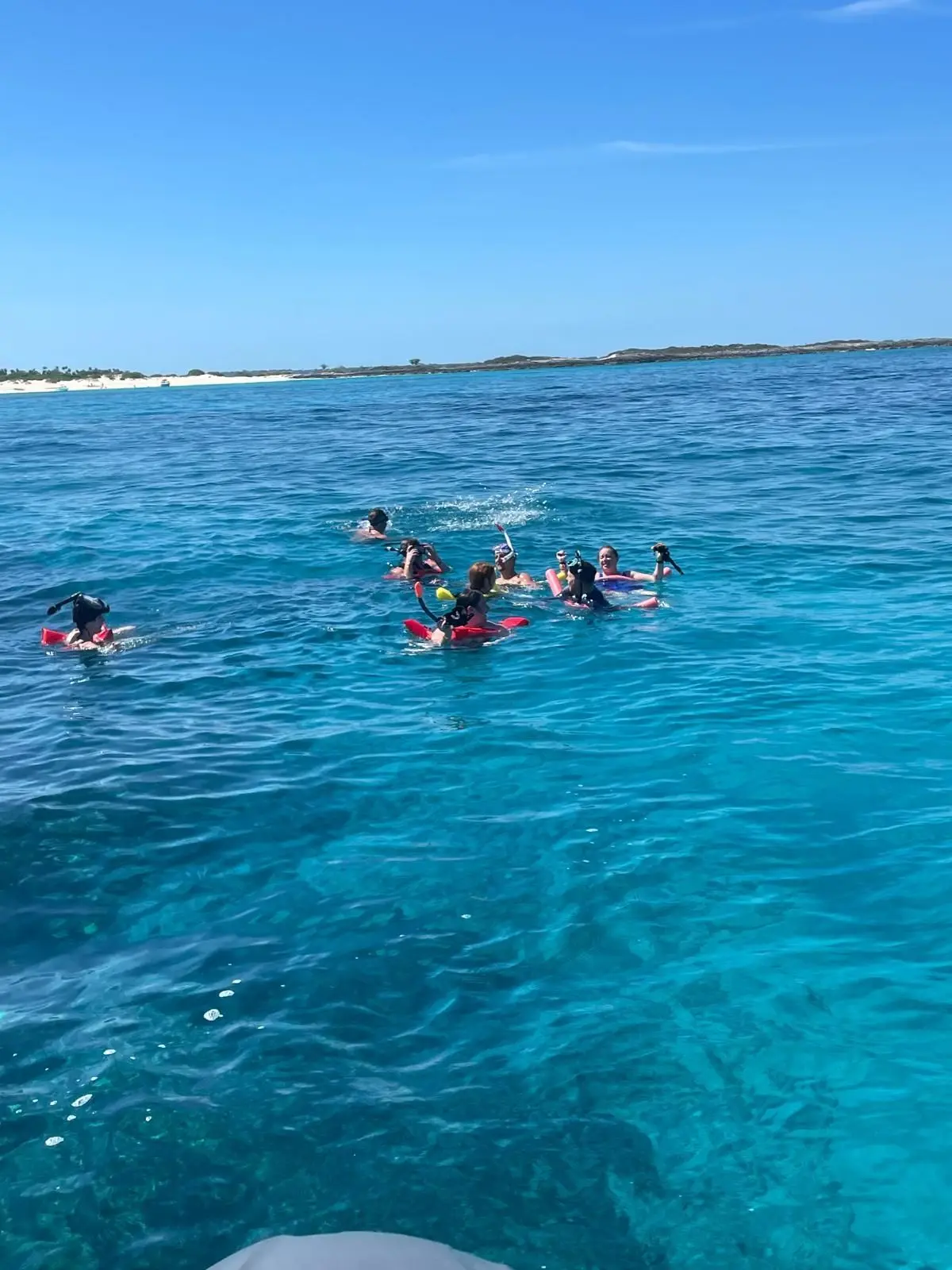 Island Escapes Bahamas guests, swimming pigs, and Nassau adventures