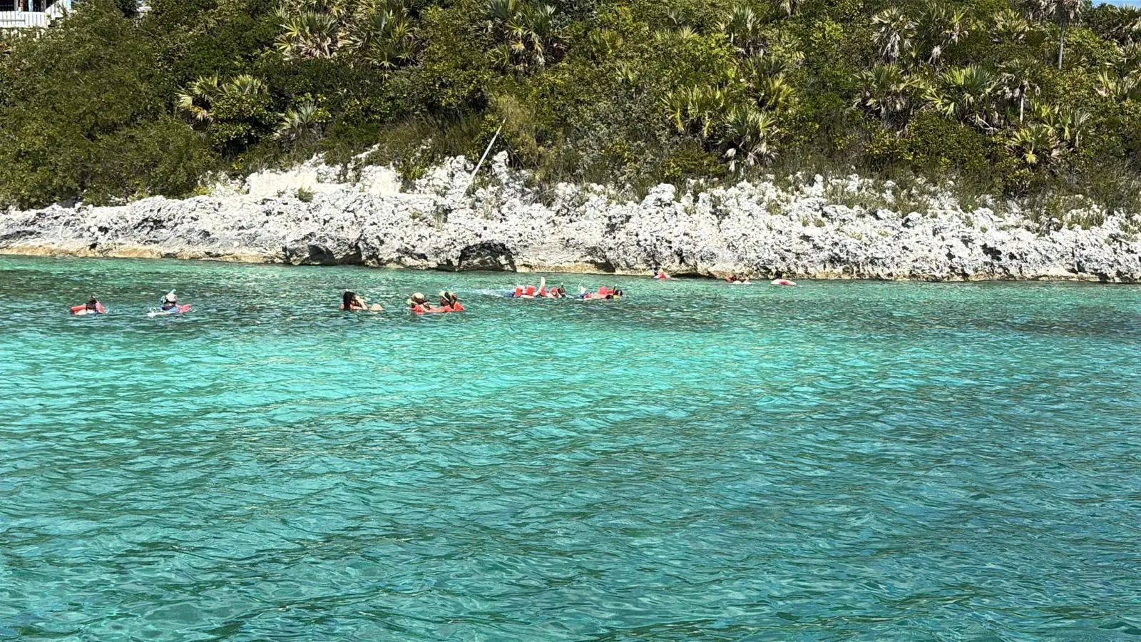 Island Escapes Bahamas guests, swimming pigs, and Nassau adventures