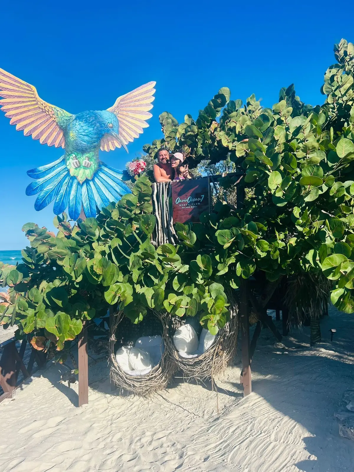 Island Escapes Bahamas guests, swimming pigs, and Nassau adventures