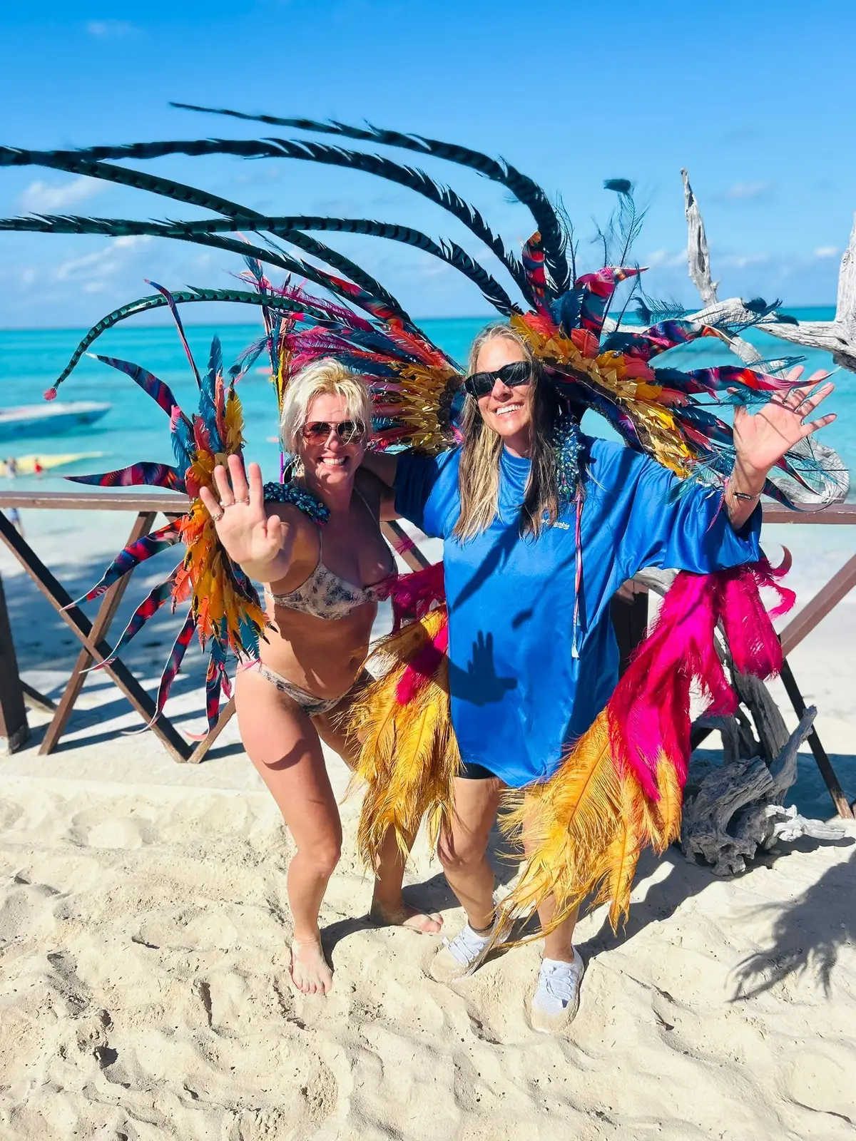 Island Escapes Bahamas guests, swimming pigs, and Nassau adventures