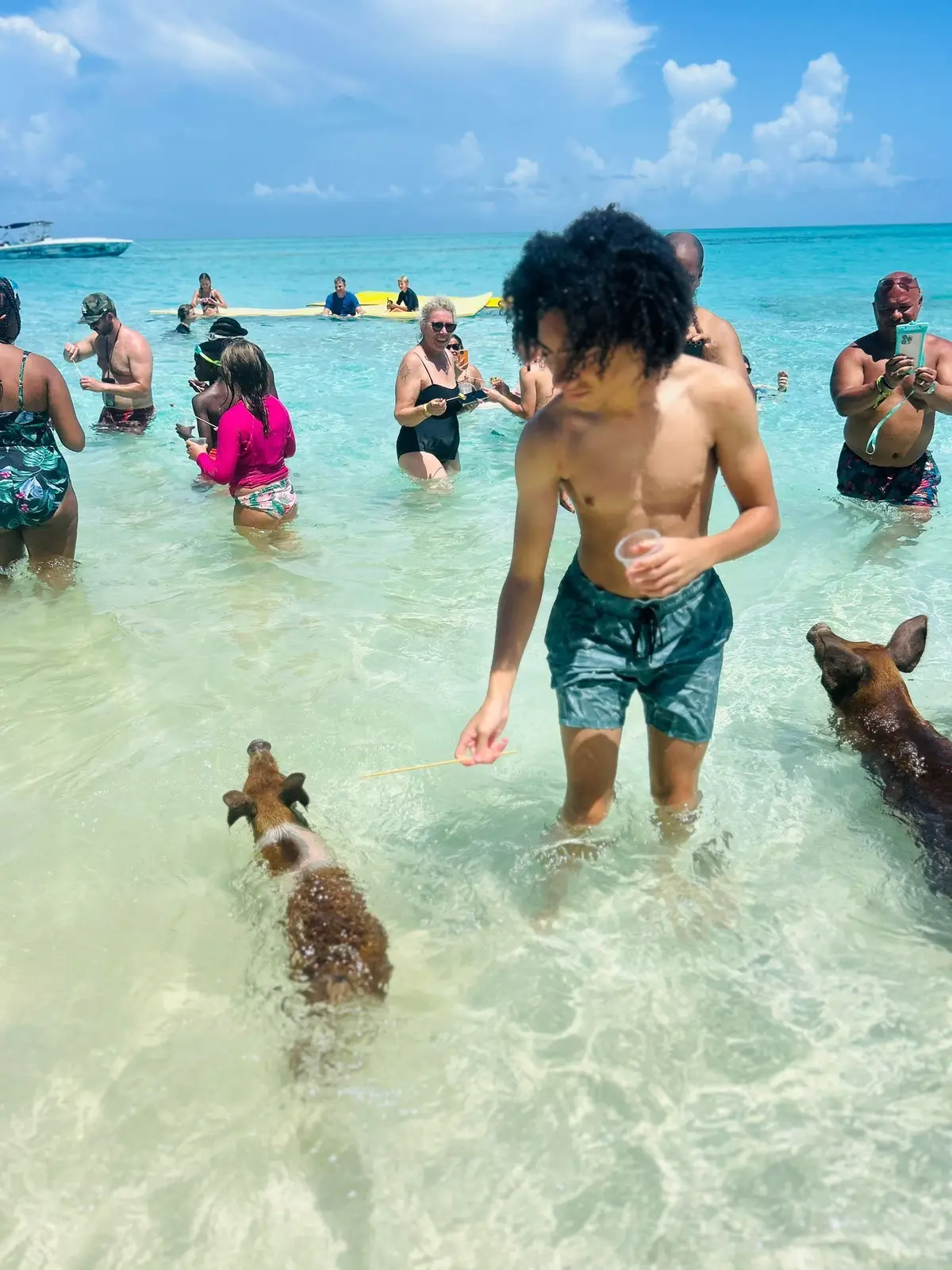 Island Escapes Bahamas guests, swimming pigs, and Nassau adventures