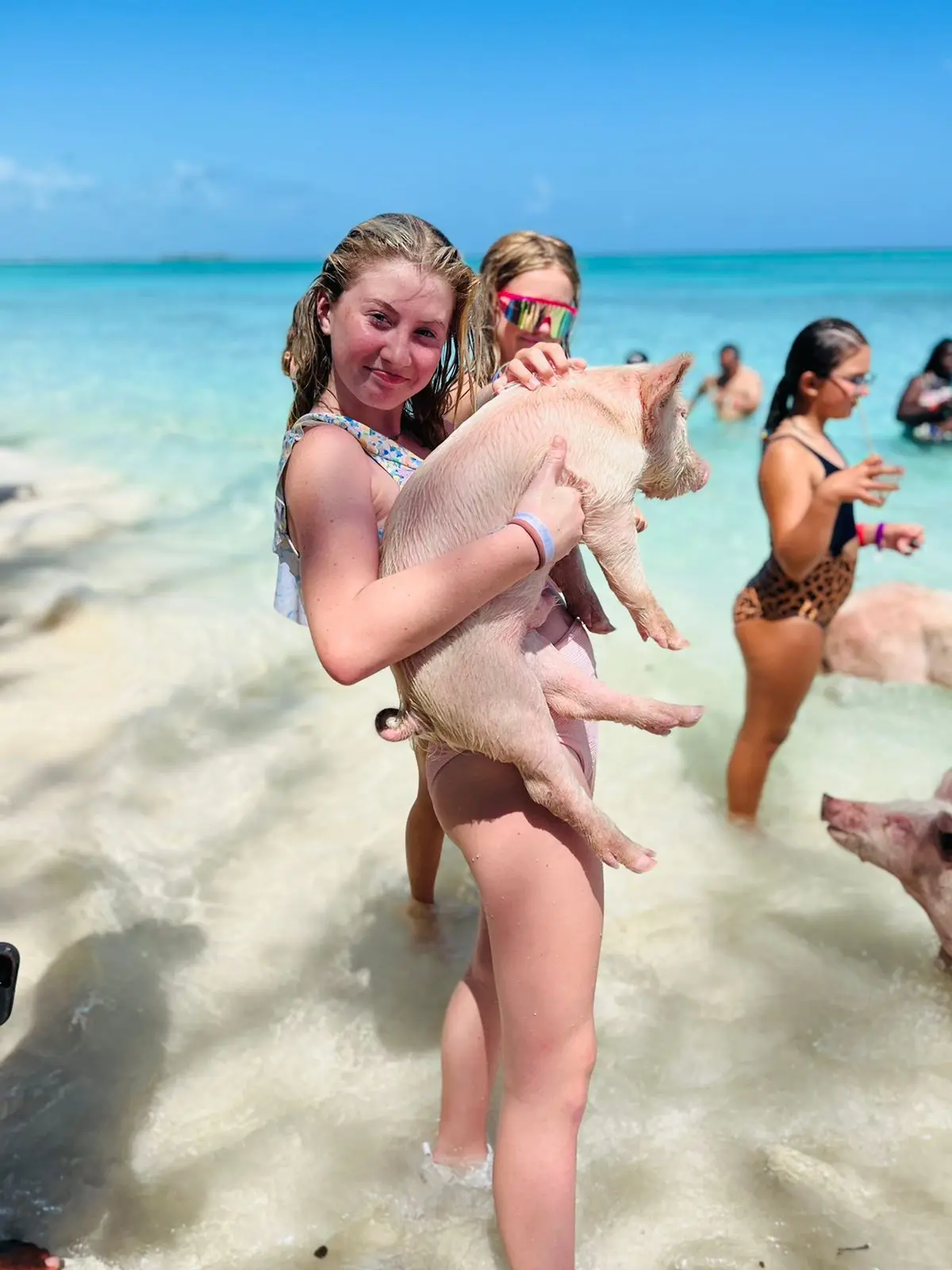 Island Escapes Bahamas guests, swimming pigs, and Nassau adventures