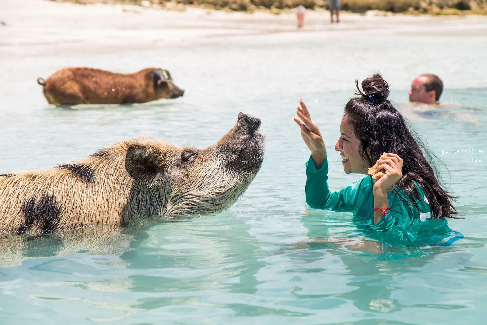 Guests enjoying Island Escapes Bahamas tours