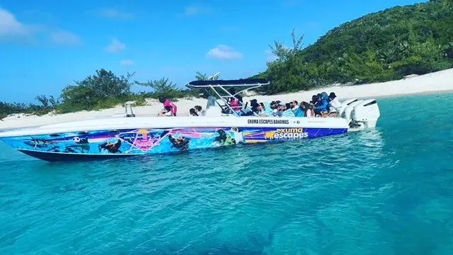 Island Escapes Bahamas guests, swimming pigs, and Nassau adventures