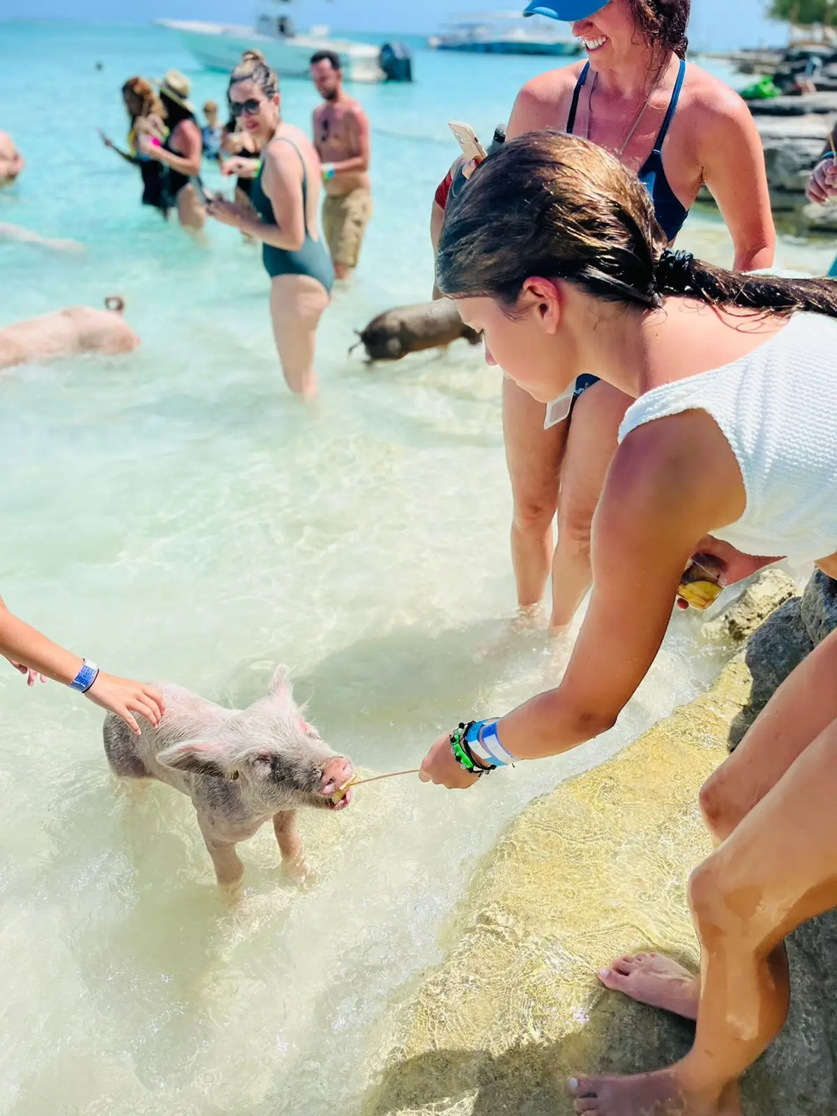 Island Escapes Bahamas guests, swimming pigs, and Nassau adventures
