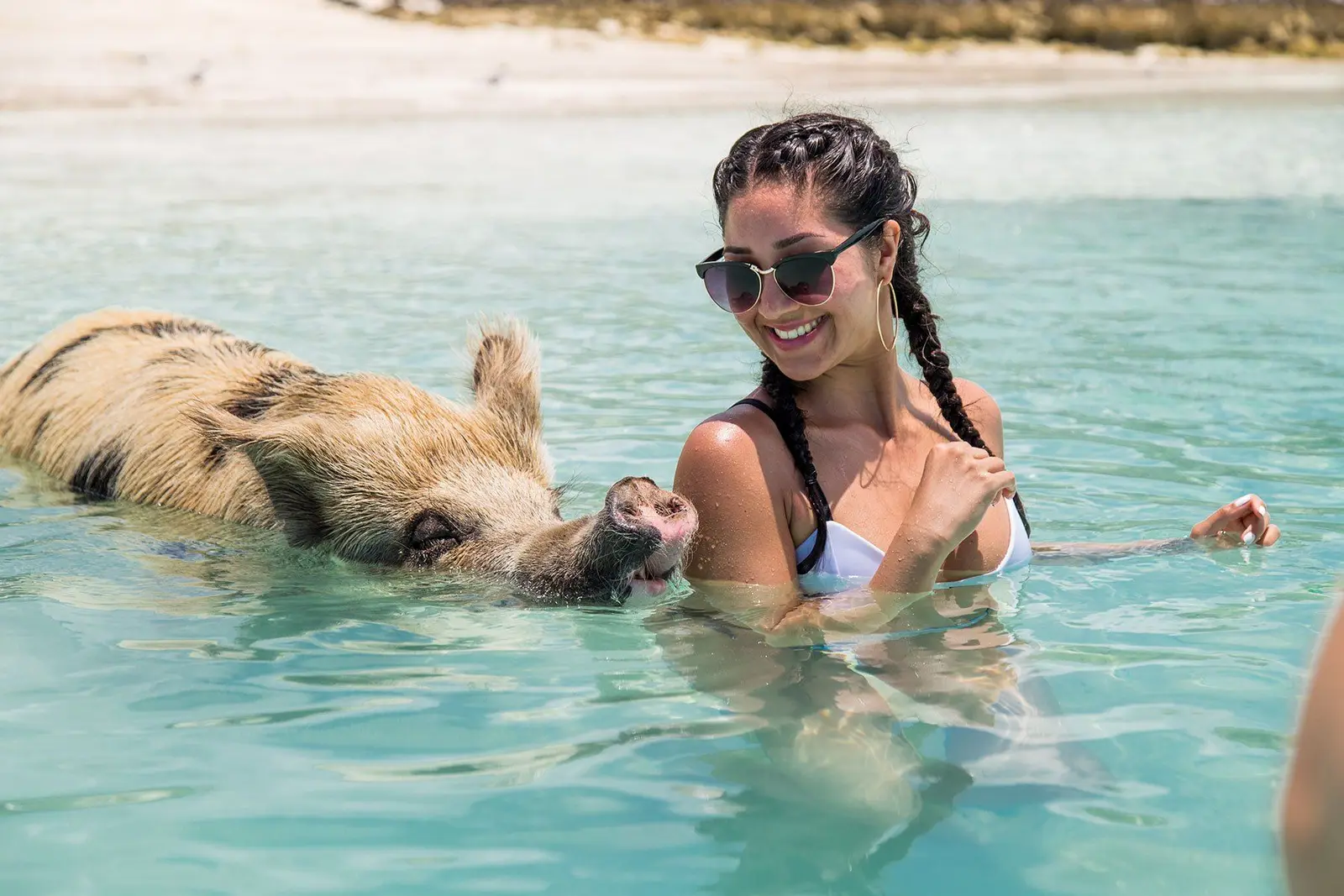 Island Escapes Bahamas guests, swimming pigs, and Nassau adventures