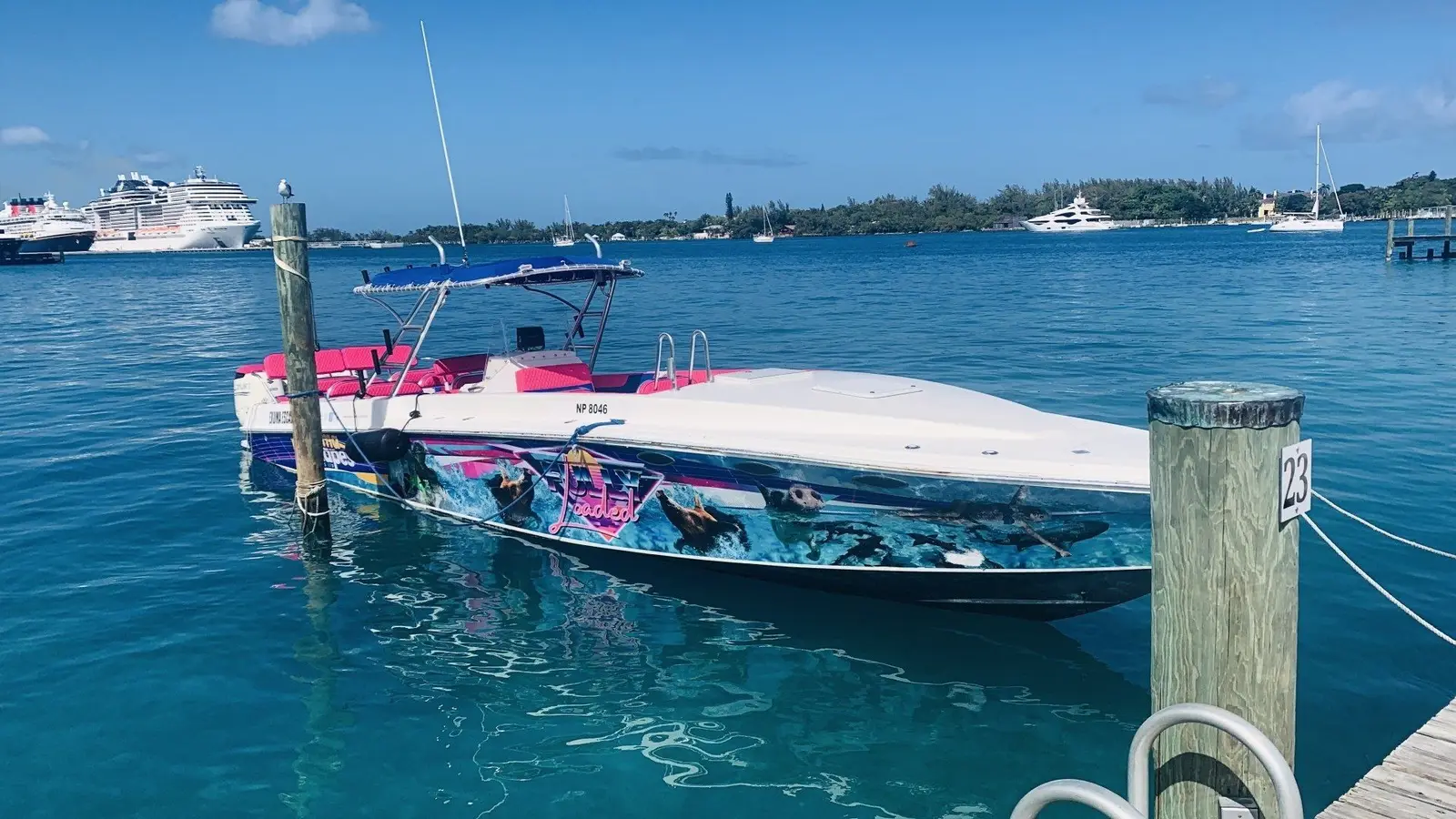 Island Escapes Bahamas guests, swimming pigs, and Nassau adventures