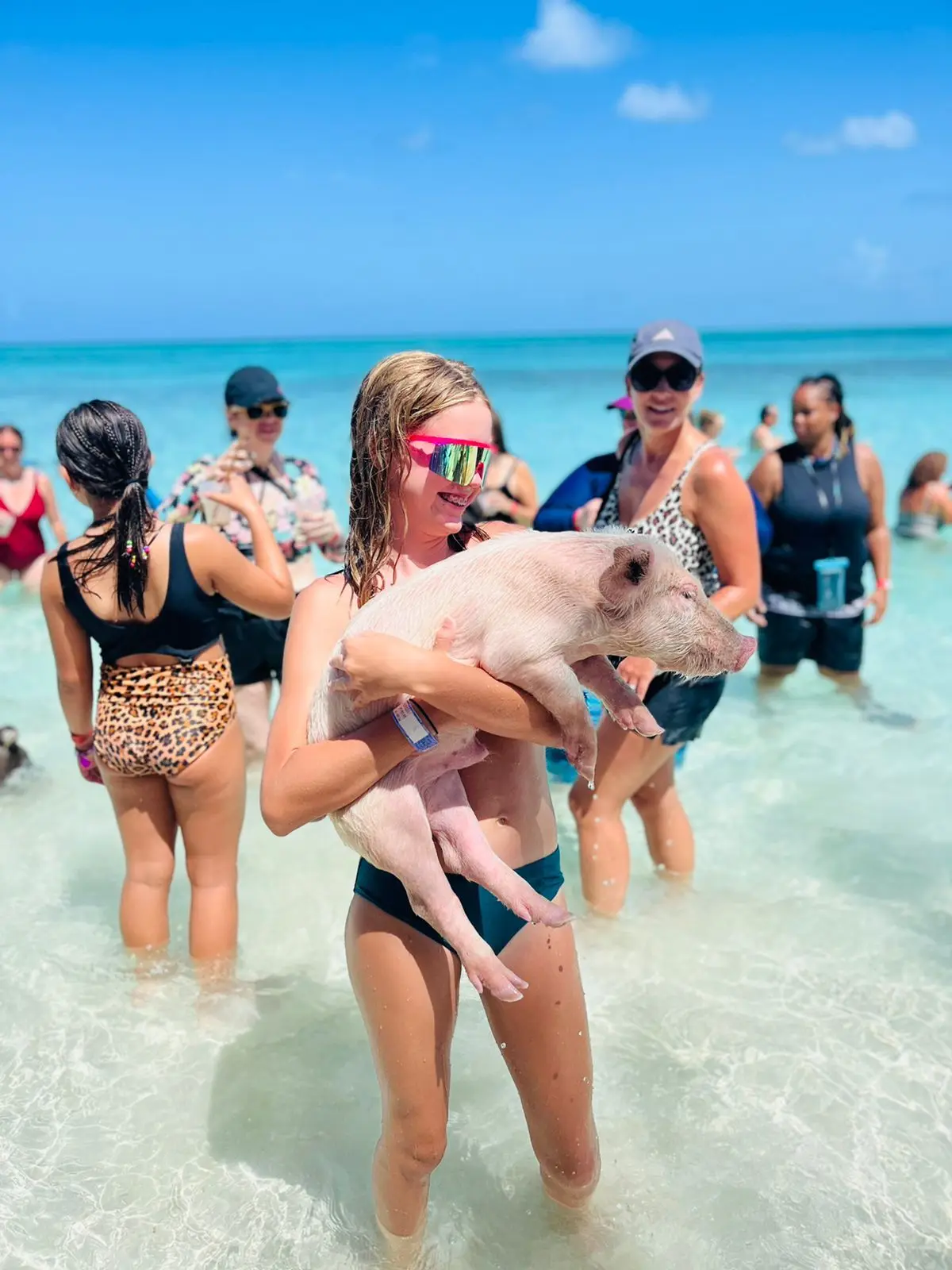 Island Escapes Bahamas guests, swimming pigs, and Nassau adventures