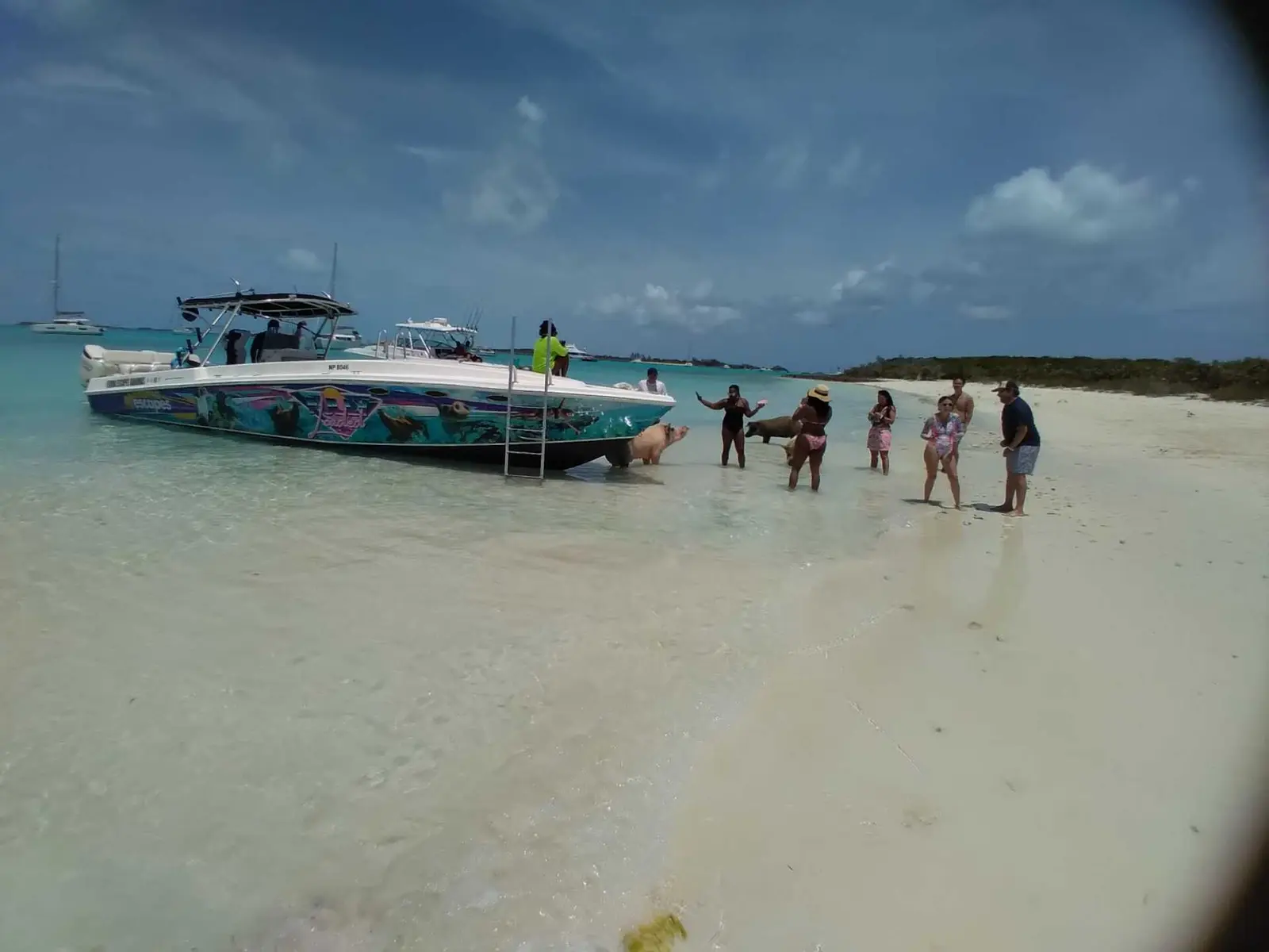 Island Escapes Bahamas guests, swimming pigs, and Nassau adventures