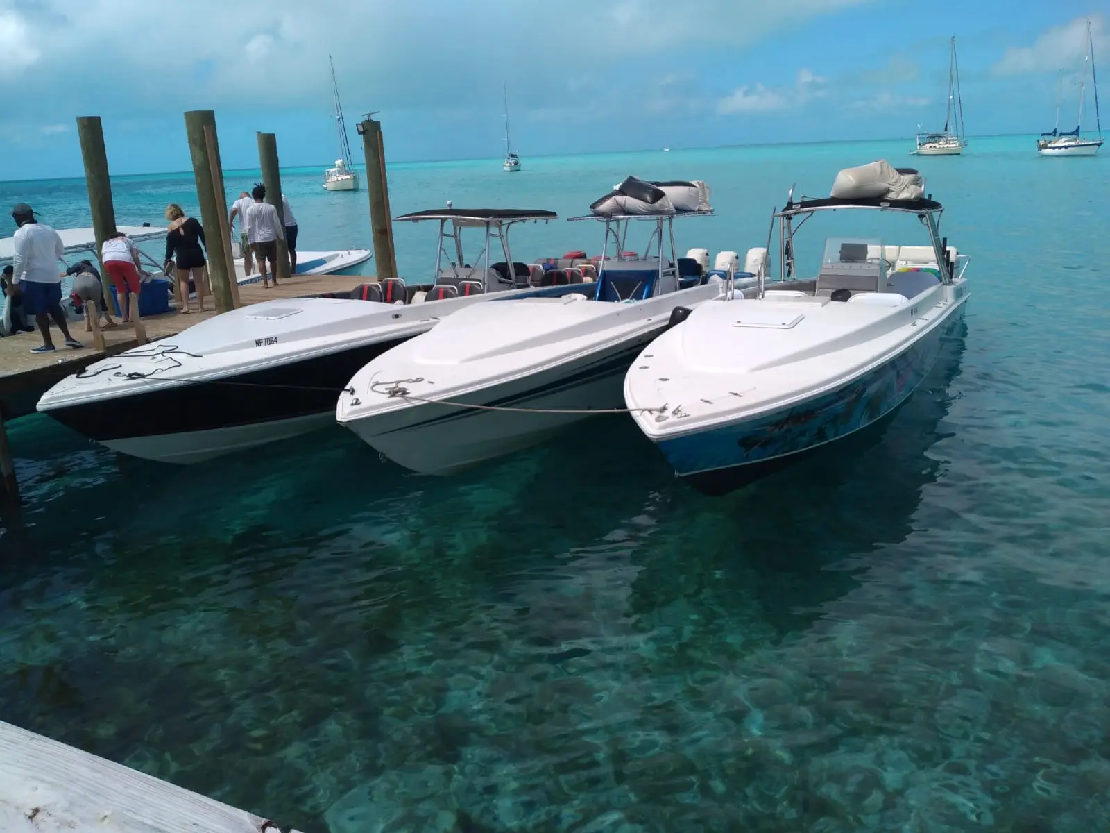 Island Escapes Bahamas guests, swimming pigs, and Nassau adventures