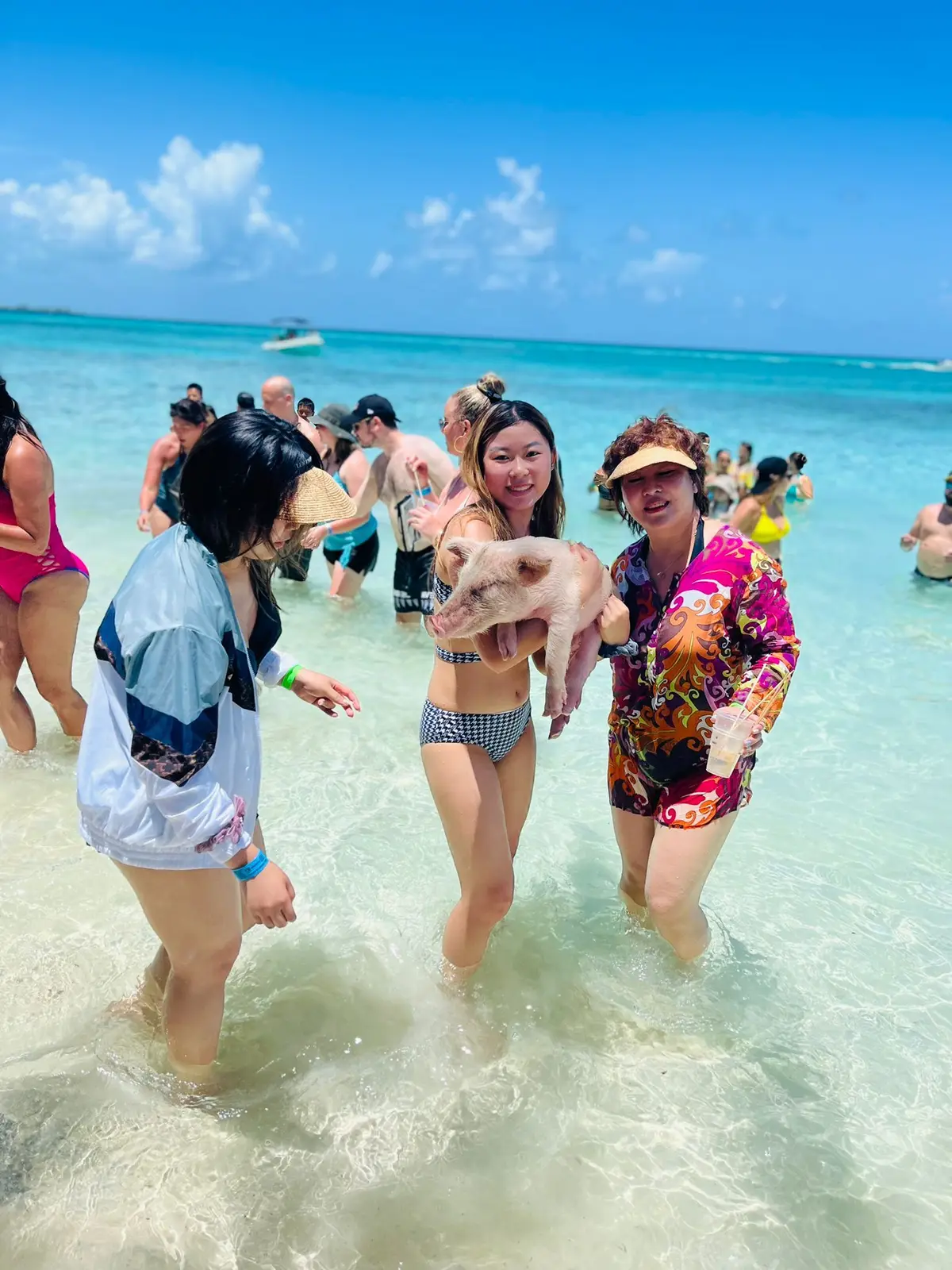 Island Escapes Bahamas guests, swimming pigs, and Nassau adventures