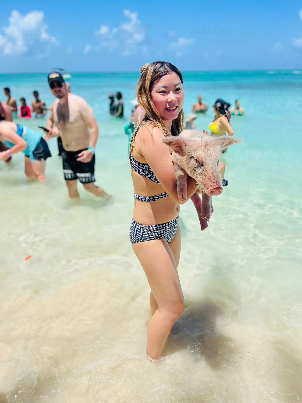 Island Escapes Bahamas guests, swimming pigs, and Nassau adventures
