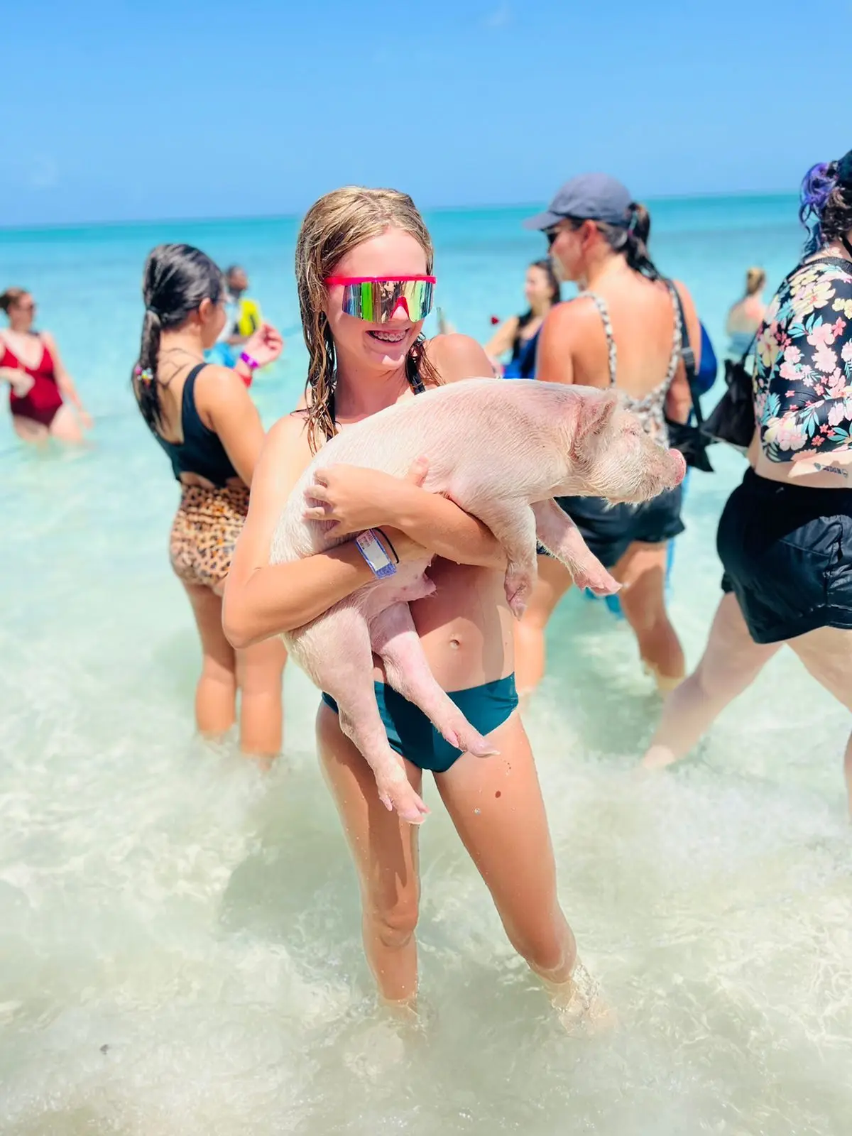 Island Escapes Bahamas guests, swimming pigs, and Nassau adventures