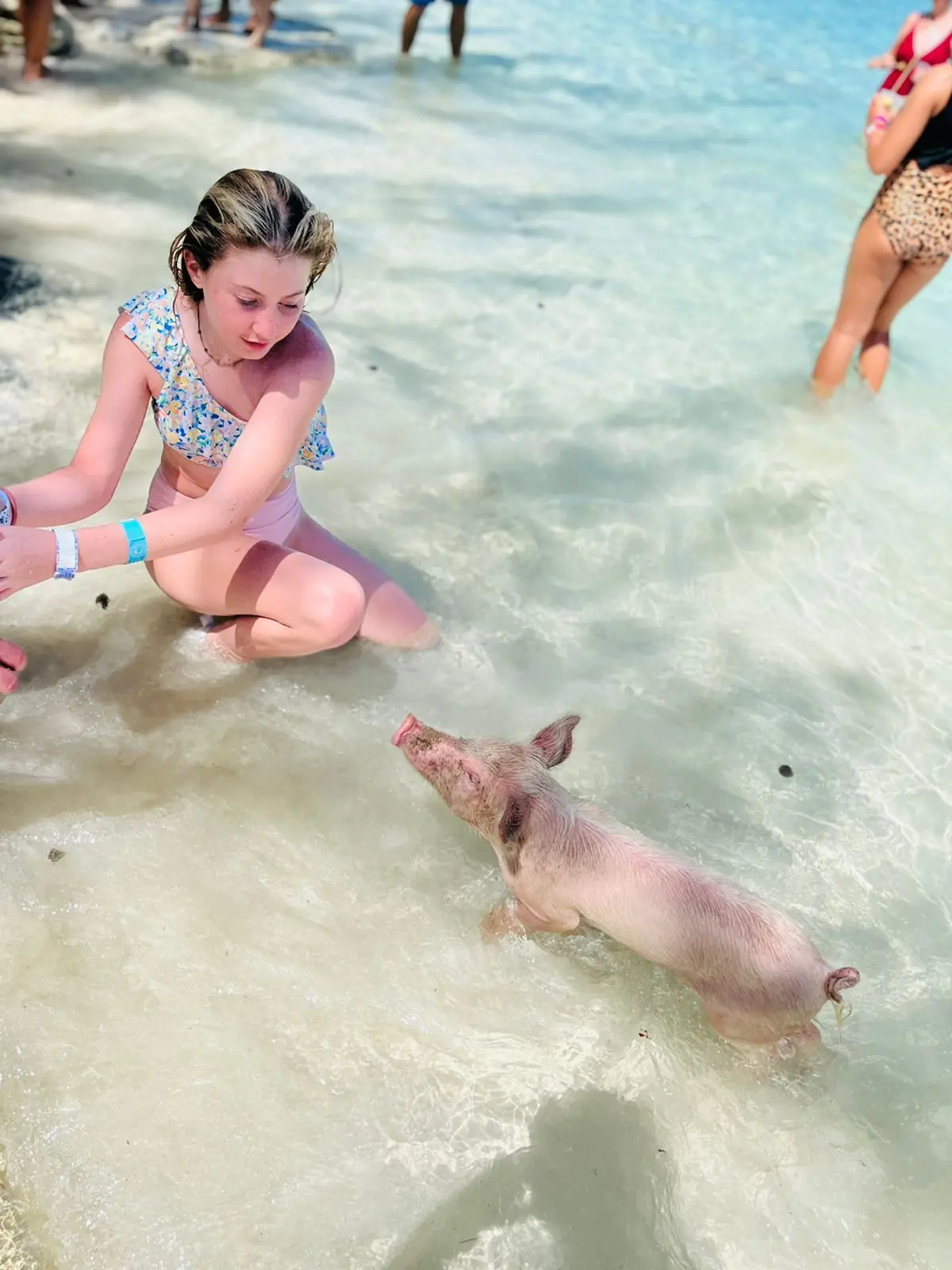 Island Escapes Bahamas guests, swimming pigs, and Nassau adventures