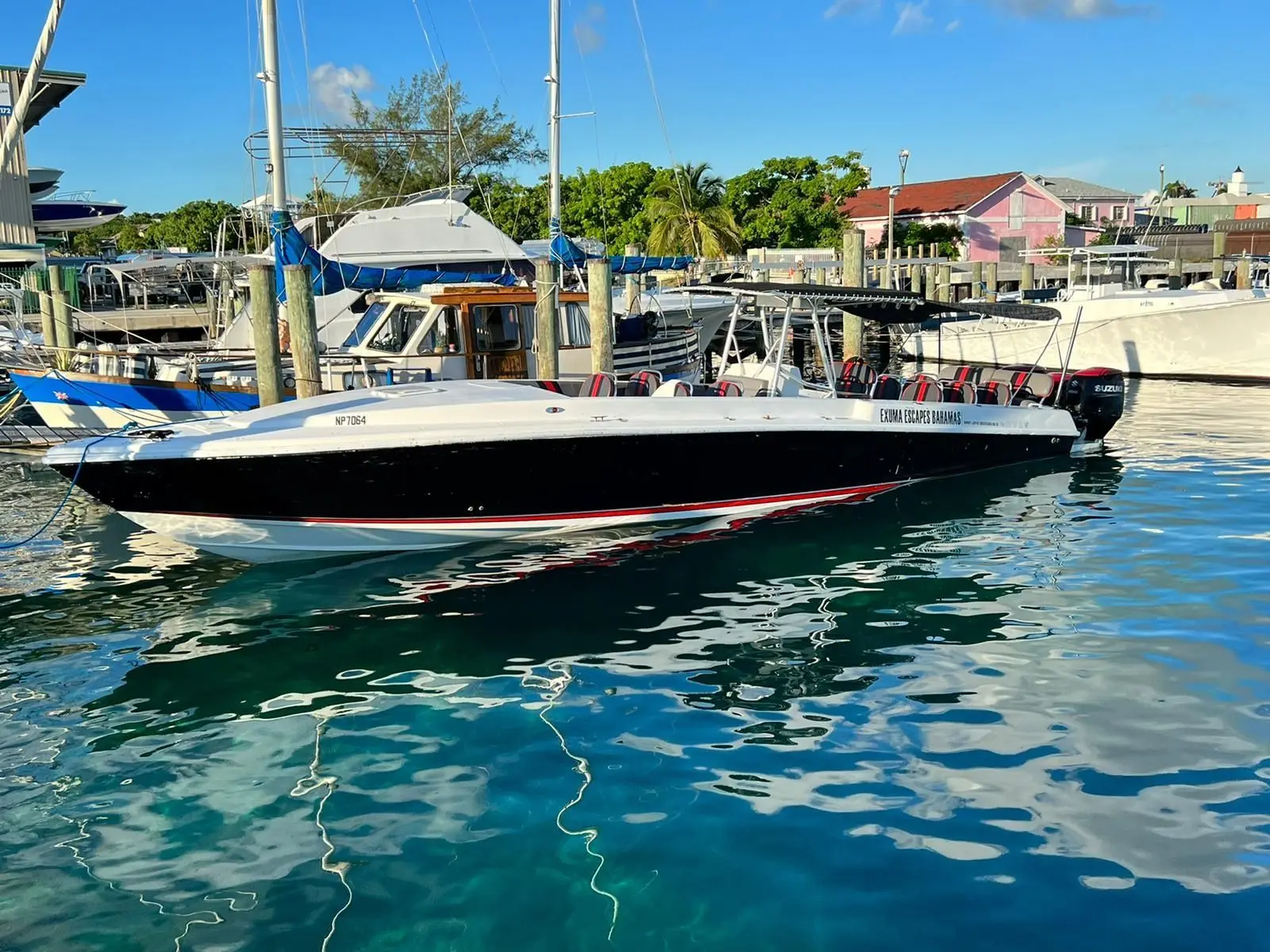 Island Escapes Bahamas guests, swimming pigs, and Nassau adventures