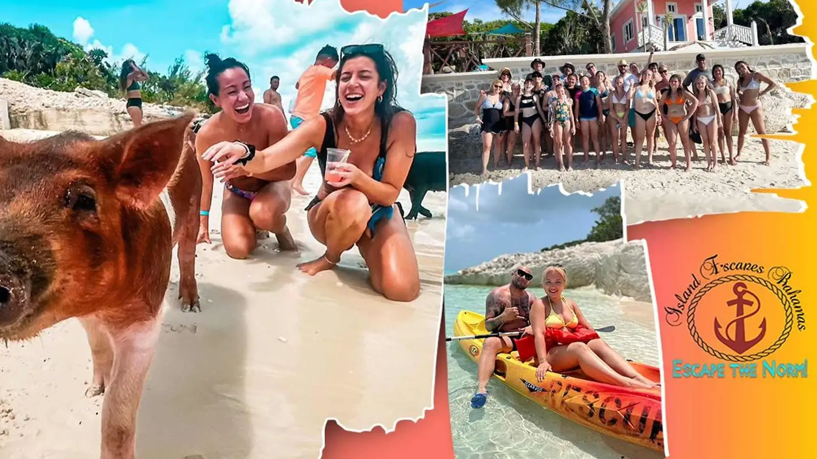 Island Escapes Bahamas guests, swimming pigs, and Nassau adventures