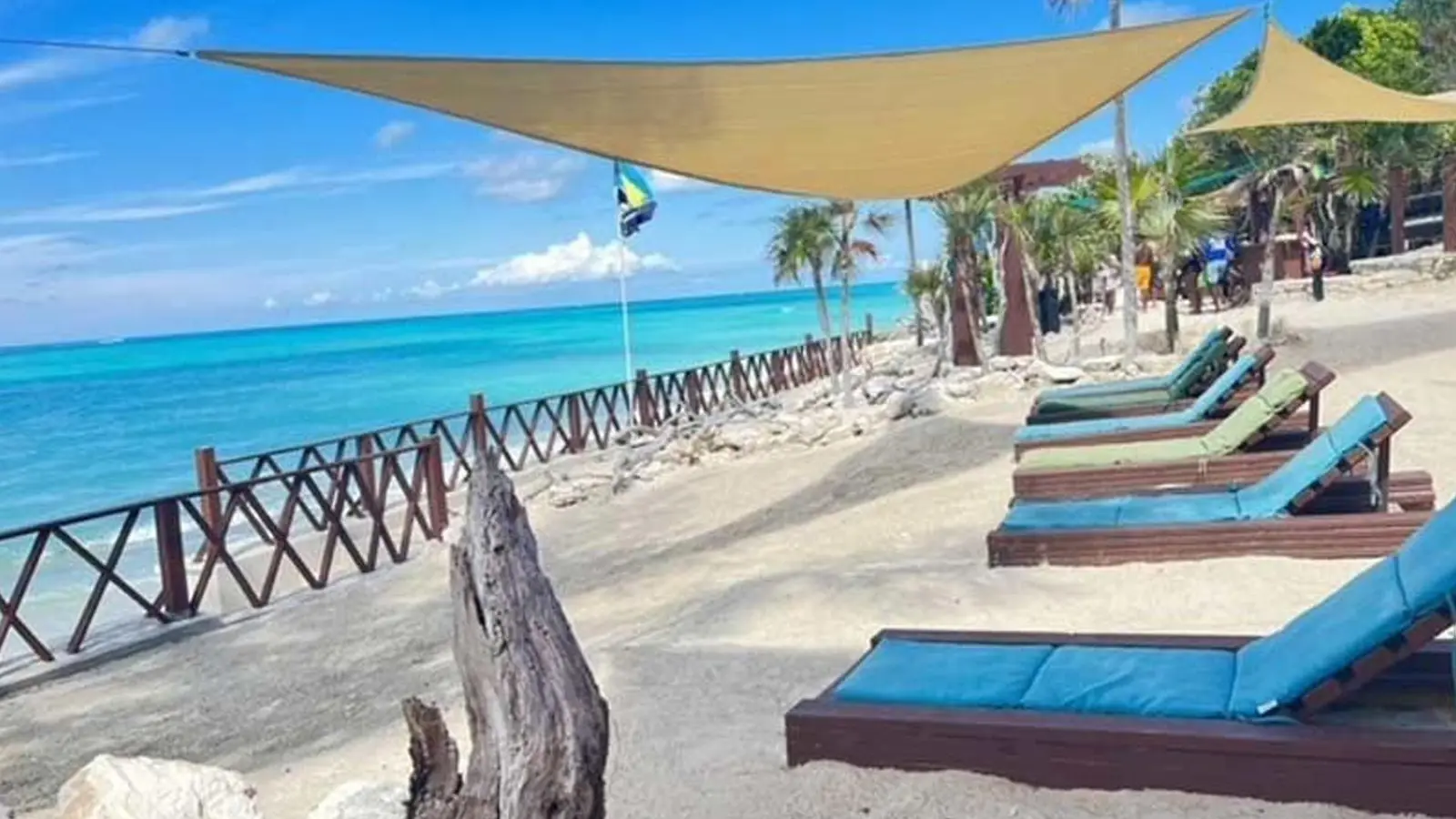 Island Escapes Bahamas guests, swimming pigs, and Nassau adventures