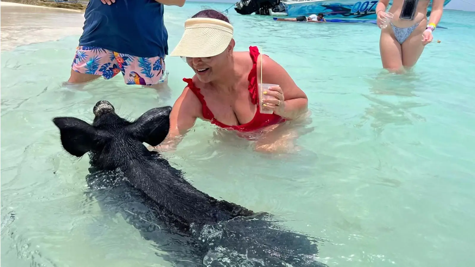 Island Escapes Bahamas guests, swimming pigs, and Nassau adventures