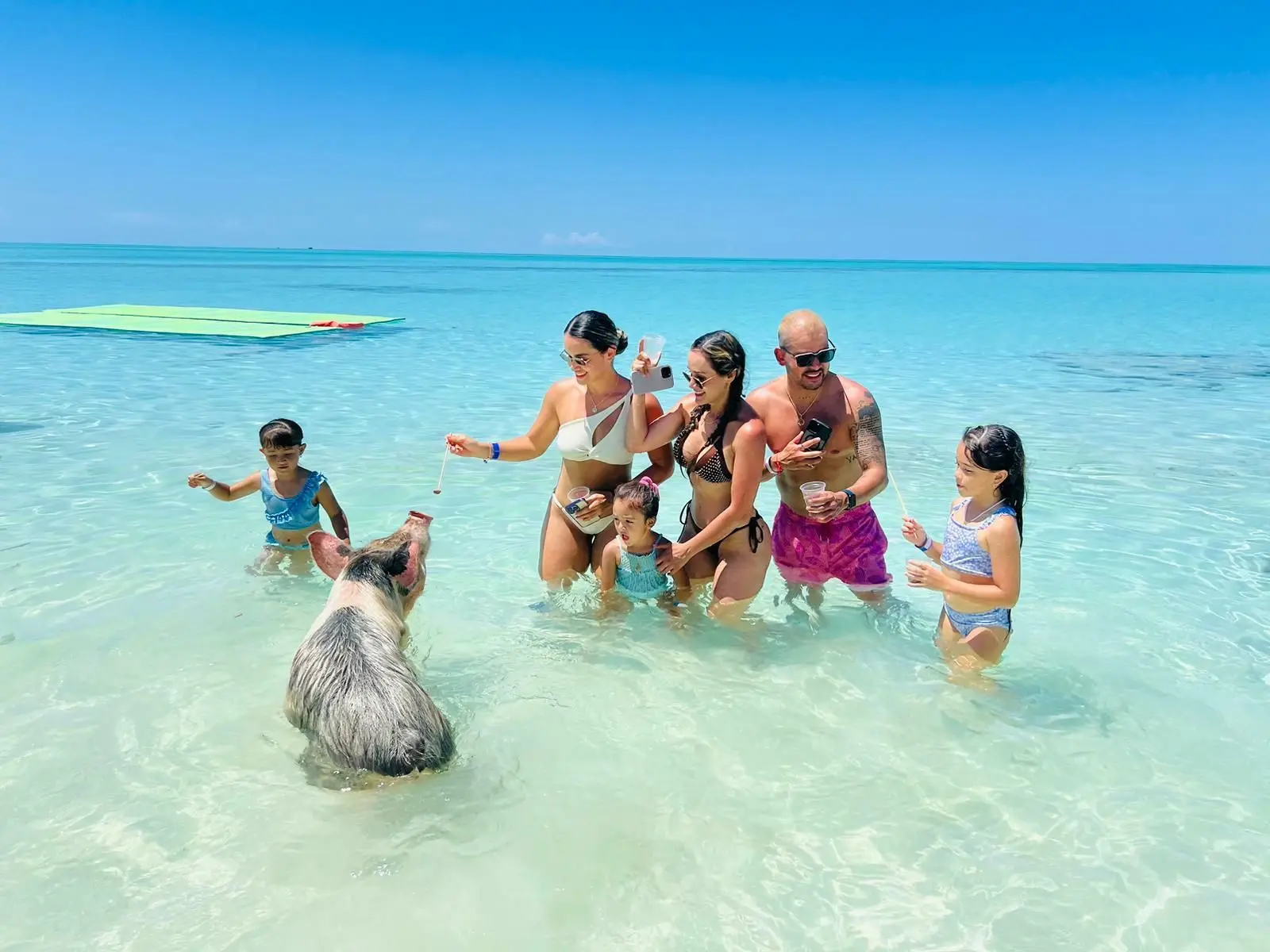 Exuma day trip from Nassau: swimming pigs, iguanas, and nurse sharks
