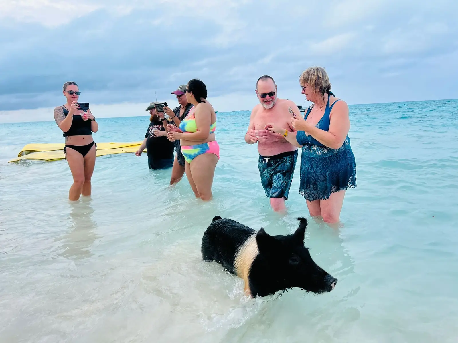 Exuma day trip from Nassau: swimming pigs, iguanas, and nurse sharks