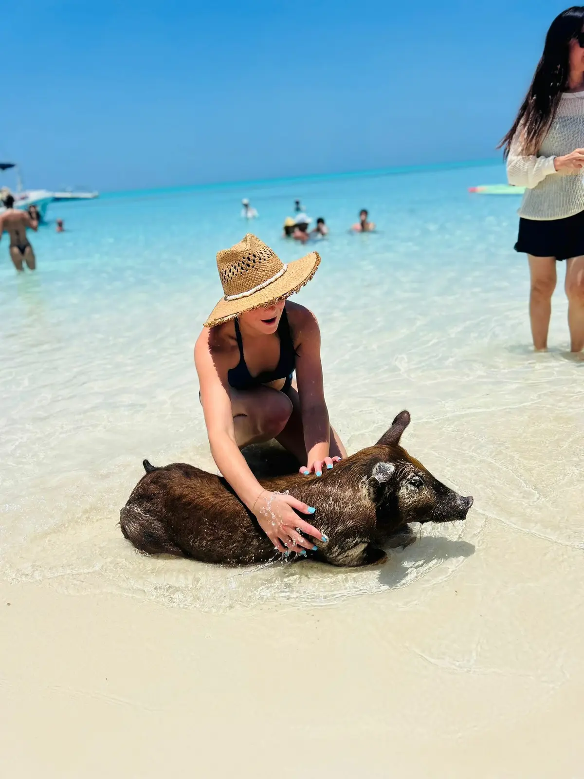 Exuma day trip from Nassau: swimming pigs, iguanas, and nurse sharks