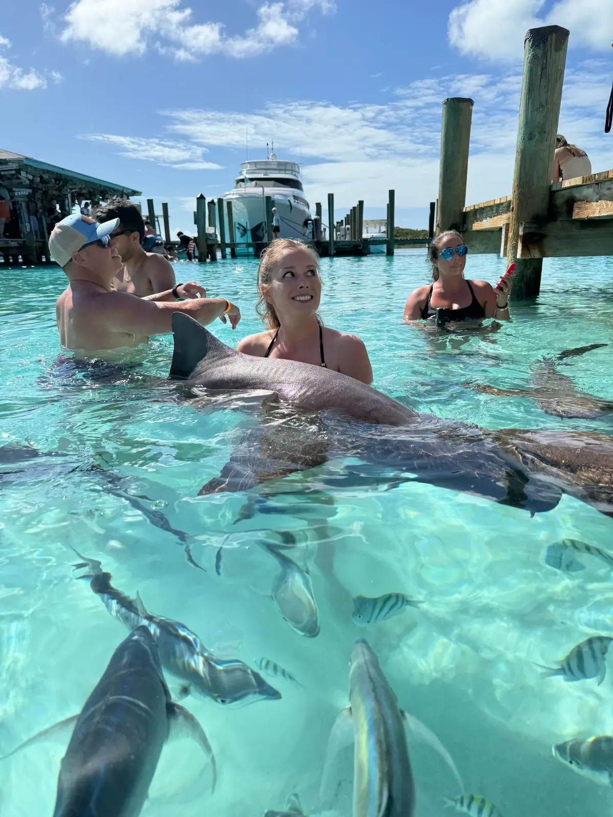 Exuma day trip from Nassau: swimming pigs, iguanas, and nurse sharks