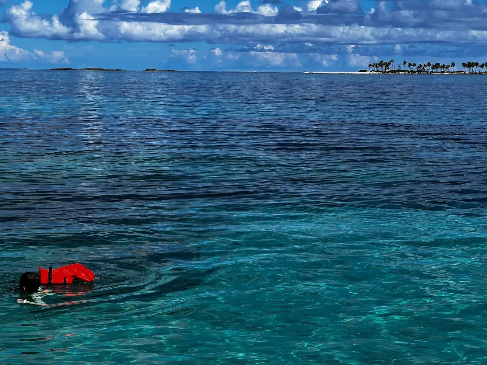Beach day experience with water toys and snorkeling near Rose Island