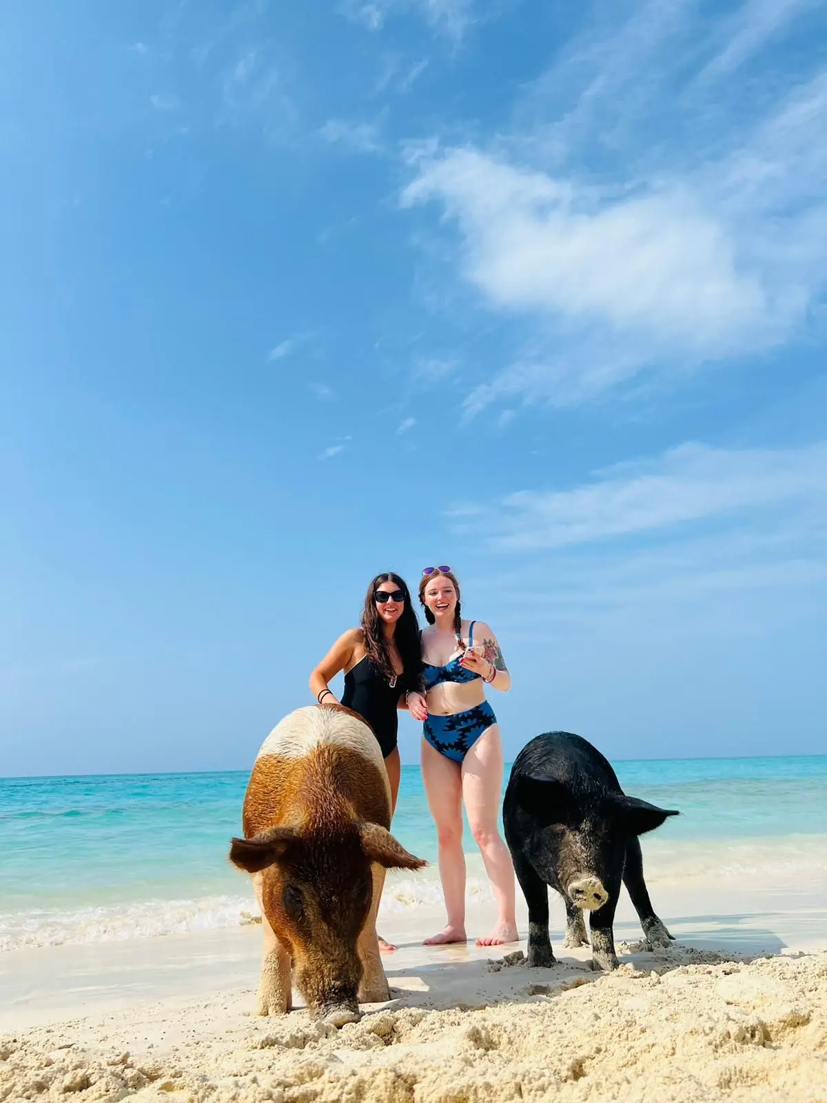Perfect Day swimming pigs, snorkel and beach lunch tour