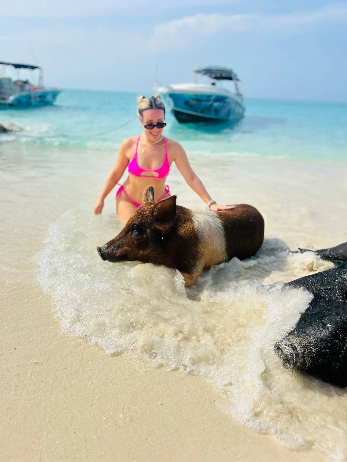 Perfect Day swimming pigs, snorkel and beach lunch tour