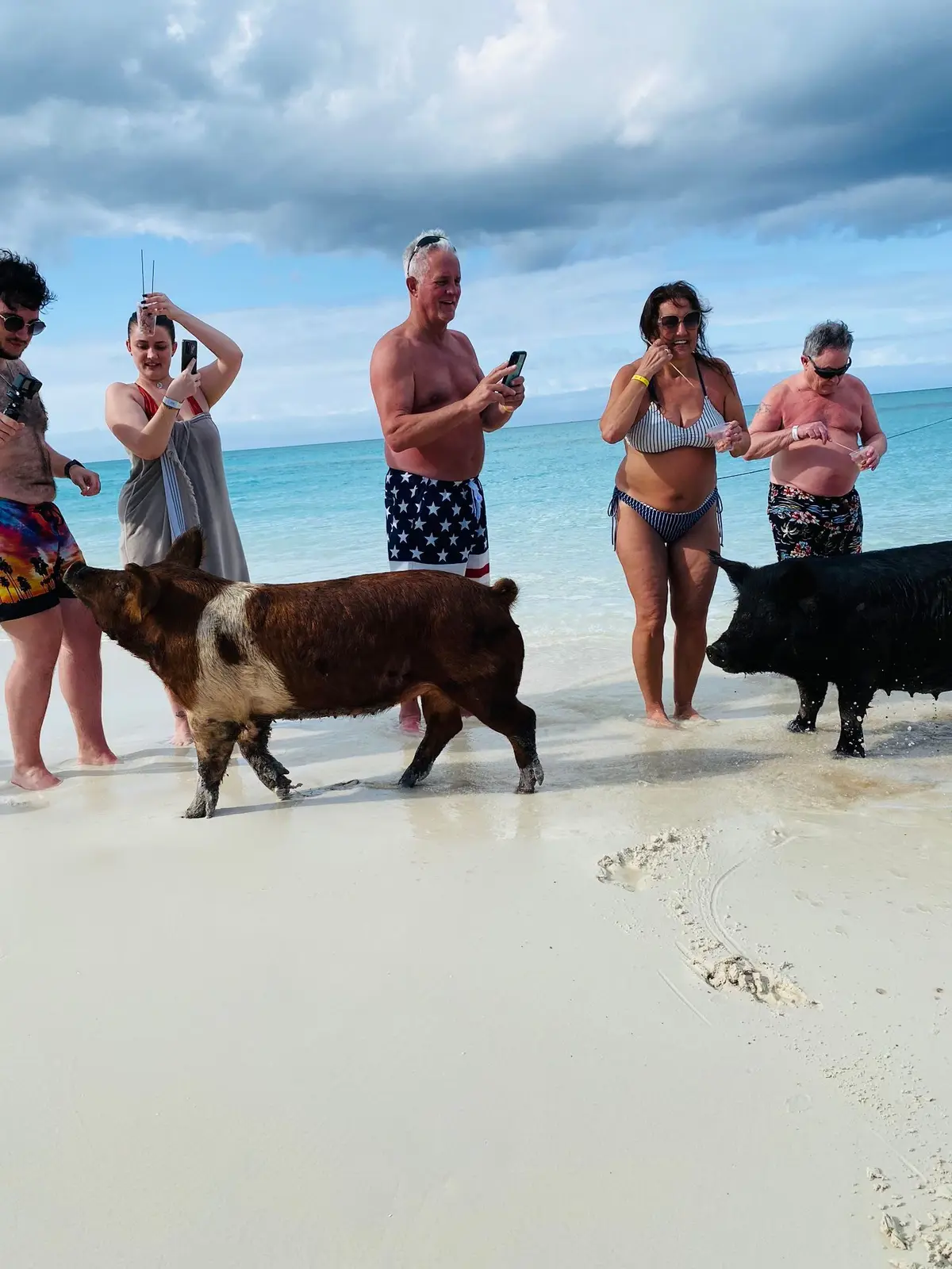 Perfect Day swimming pigs, snorkel and beach lunch tour