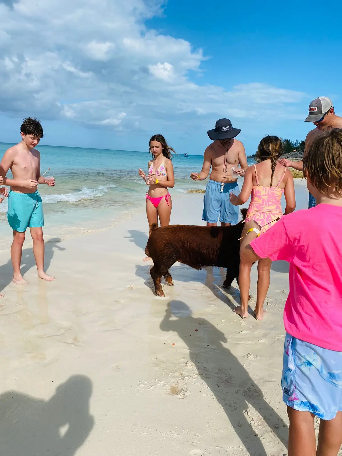 Perfect Day swimming pigs, snorkel and beach lunch tour