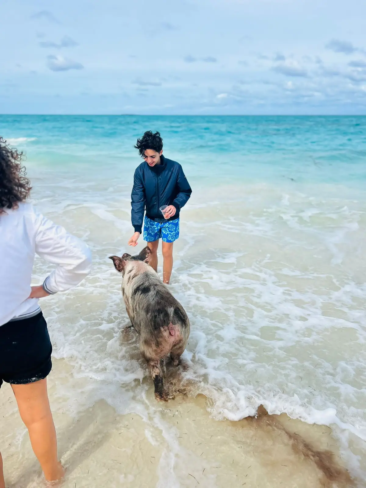 Perfect Day swimming pigs, snorkel and beach lunch tour