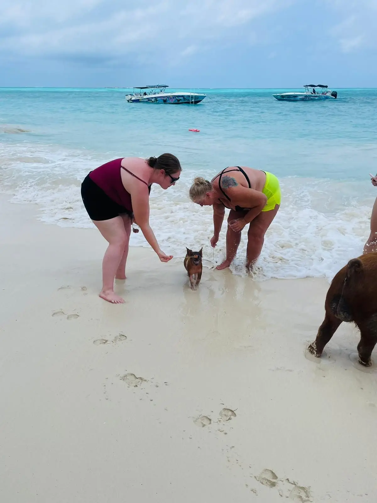 Perfect Day swimming pigs, snorkel and beach lunch tour