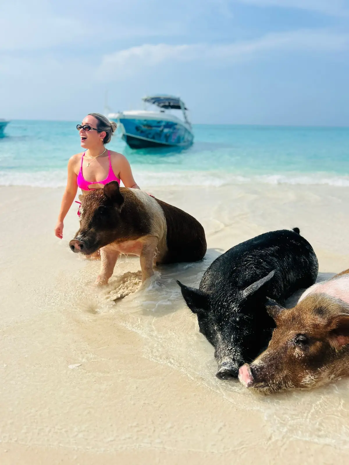 Perfect Day swimming pigs, snorkel and beach lunch tour