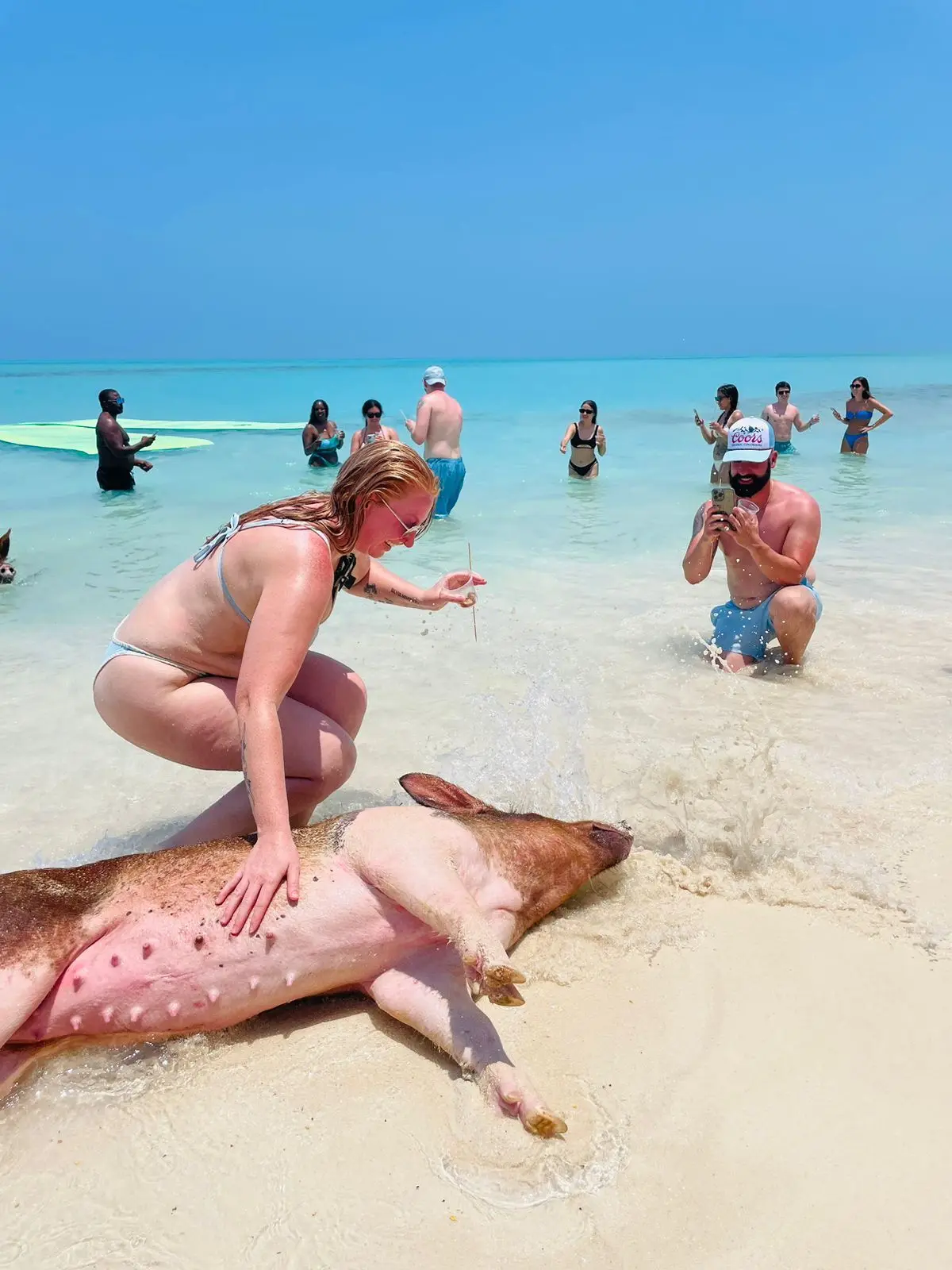 Perfect Day swimming pigs, snorkel and beach lunch tour