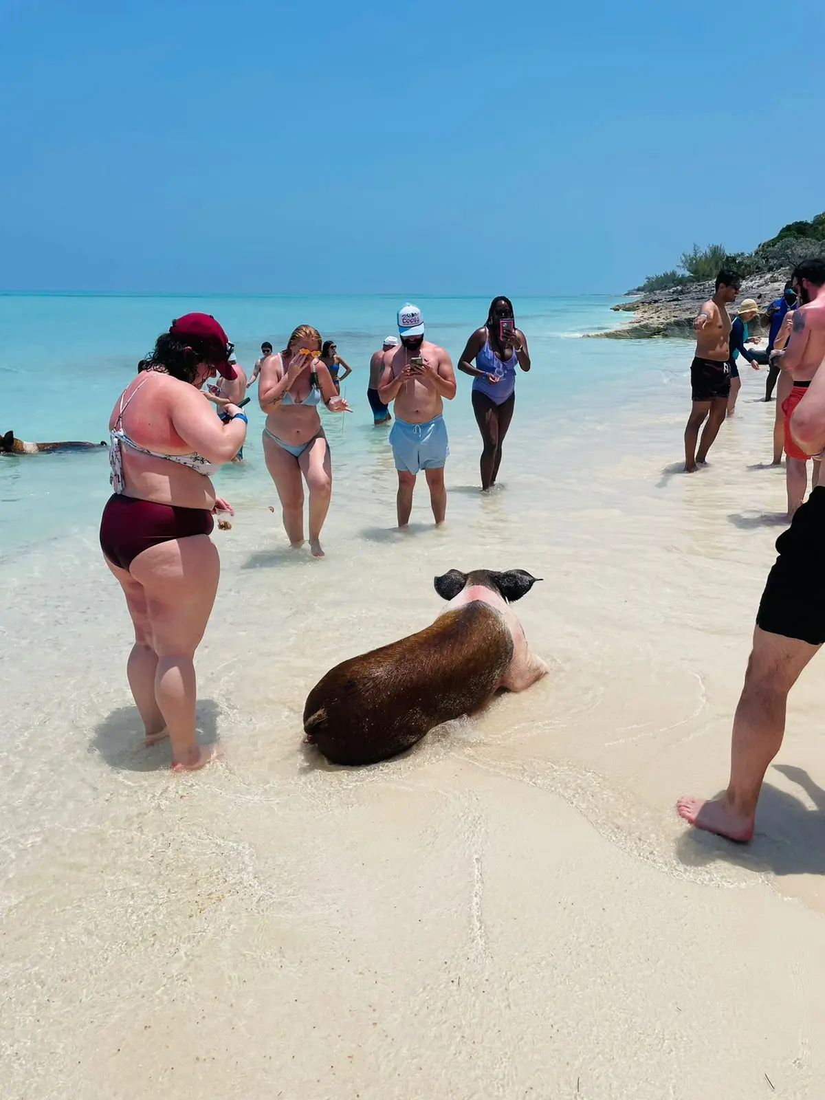 Perfect Day swimming pigs, snorkel and beach lunch tour