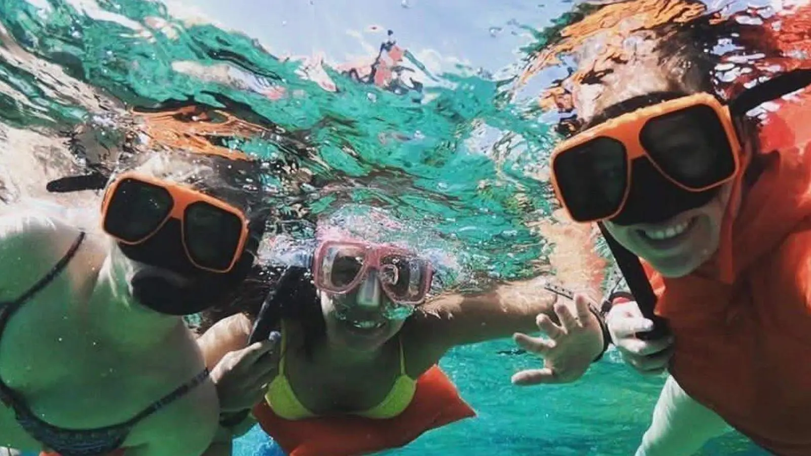 Guests with a swimming pig on the Best of Nassau tour