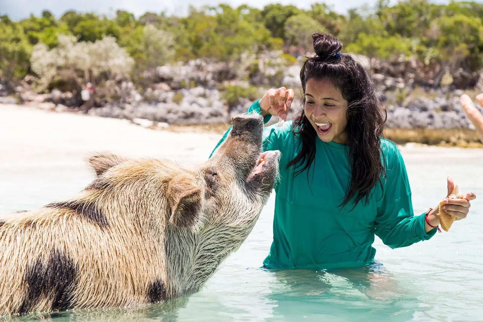 Exuma 5 islands swimming pigs boat adventure
