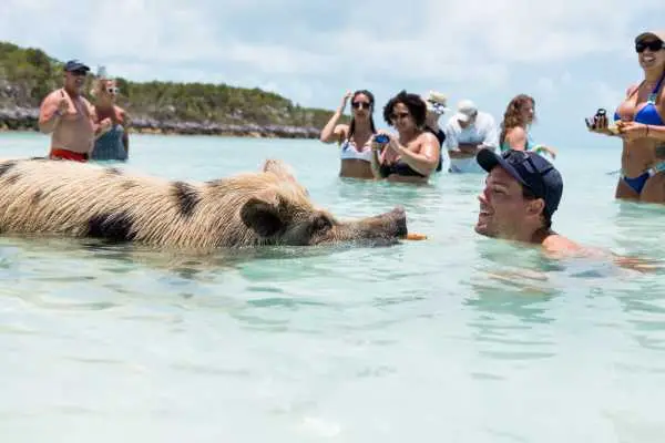 Exuma 5 islands swimming pigs boat adventure